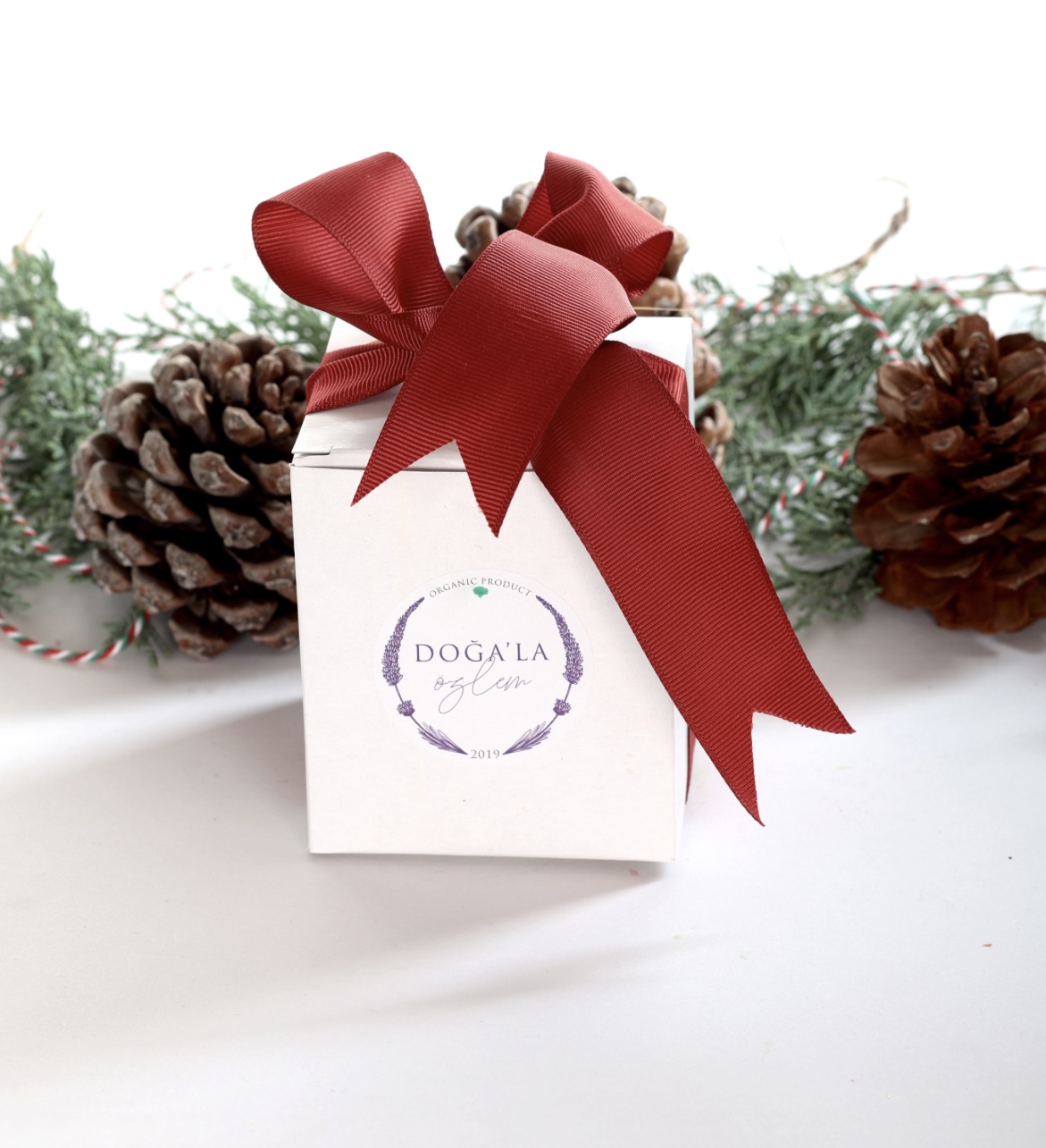 Doğal Soya Ve Kakao Balmumu Mum - Görsel 4